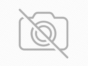 Demo Blog İçeriği 1